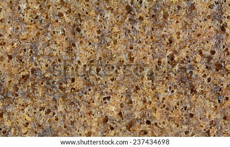 macro of  brown cake texture  for food background or concept