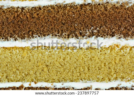 macro of  cake layer for food background or concept