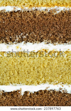 macro of  cake layer for food backgound or concept