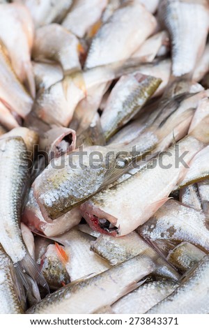 Cutted head fish prepare for cooking; selective focus with blur foreground and background.