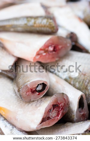 Closeup of cutted head fish prepare for cooking; selective focus with blur foreground and background.