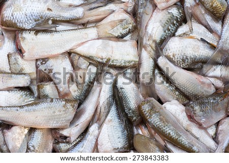 Many cutted head fish prepare for cooking.