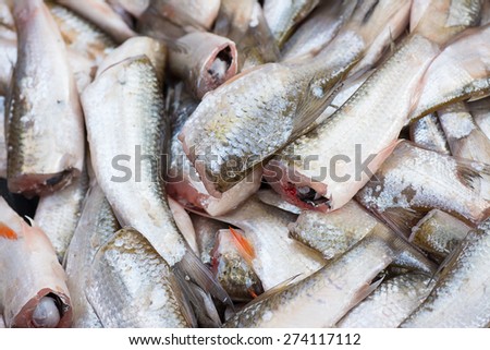 Cutted head fish prepare for cooking; selective focus.