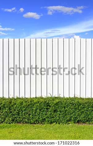 Backyard with the metal sheet wall on clear sky day