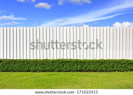 Backyard with the metal sheet wall on clear sky day