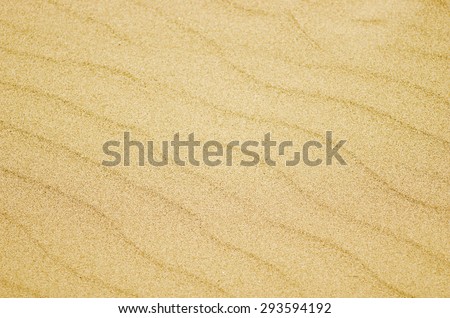 Seamless texture of sand beach. Sand background template. Sand beach