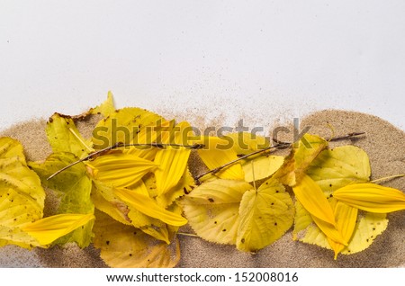 Autumn forest decoration yellow twigs and leaves