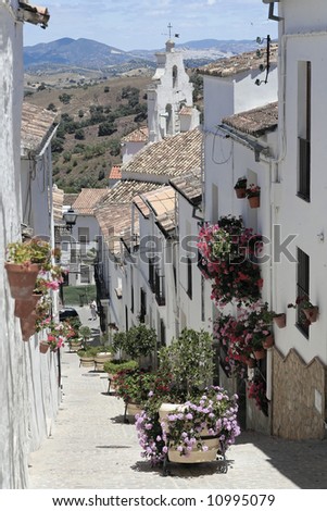 Flower road in El gastor with view of the village church