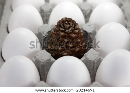 Pine cone surrounded by white eggs.  Concept of standing out in the crowd.