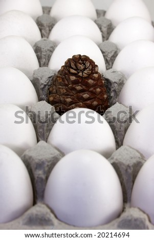 Pine cone surrounded by white eggs.  Concept of standing out in the crowd.