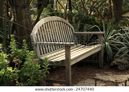 Wood bench in a desert garden environment.