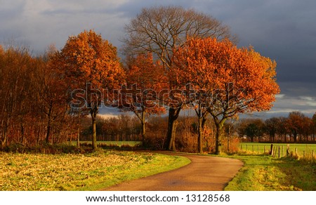 lane to bright autumn trees in a farm-landscape with dark clouds in the back