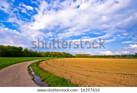 country road trough farm landscape with clouds and blue sky