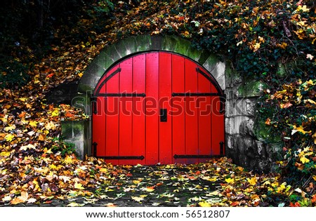 old red door covered in autumn leaves