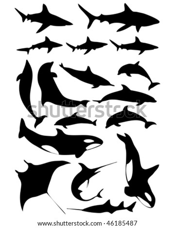 ocean animals images. stock vector : Ocean animals