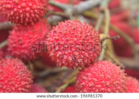 wild fruit from forest, wild lychee or Nephelium hypoleucum