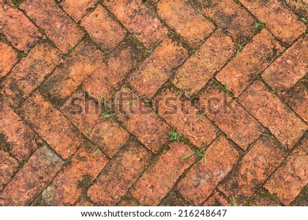 old red brick floor with moss in garden