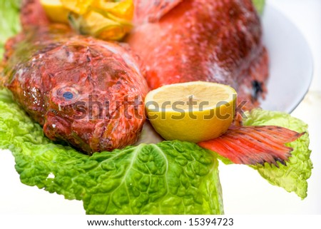 Fresh fish with with cabbage and lemon in a elegant dish
