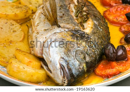 Fresh fish, Gilt-head Bream, cooked in owen with tomatoes, potatoes and olives