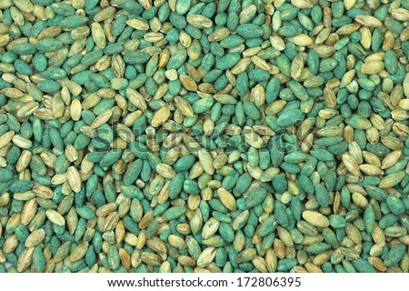 grain soaked poison for rodents background