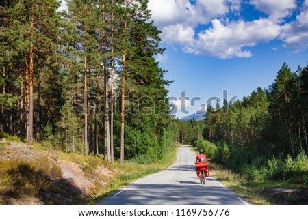 Traveling cyclist rides a cycle route along scenic road through fir forest in Southern Norway