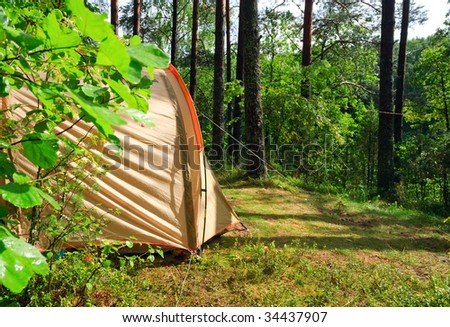 Camping tent in a sunny forest after rain