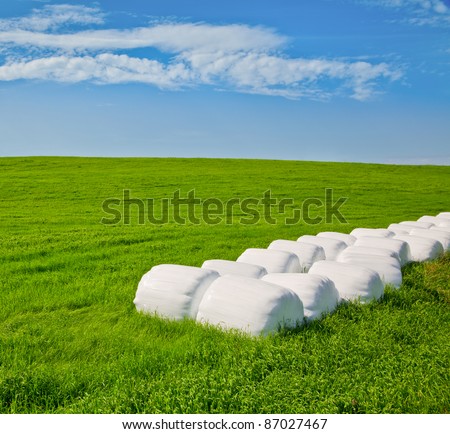 Row of plastic wrapped hay bales on a green field