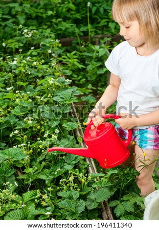 Little girl watering strawberry plants with red watering can