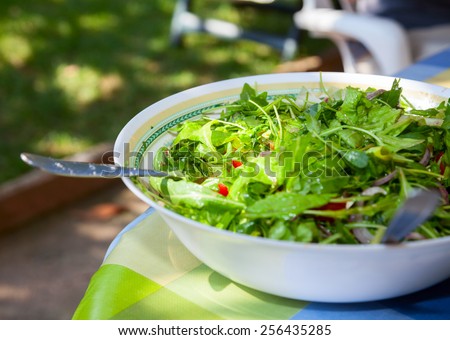 Bowl of fresh italian green salad on a table outdoor