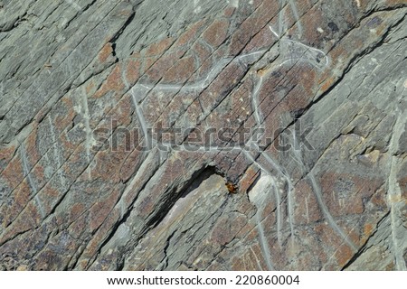Rock paintings-petroglyphs.the art of the ancient Slavs Siberia.museum-reserve Tomsk Pisanitsa.September 27, 2014.