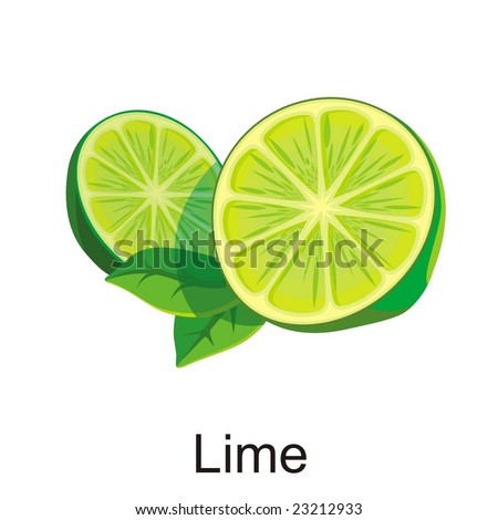 Lime Illustration