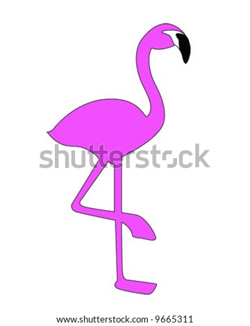 Flamingo Vector