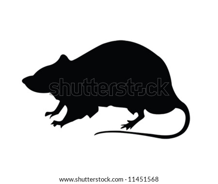 Rat Vector