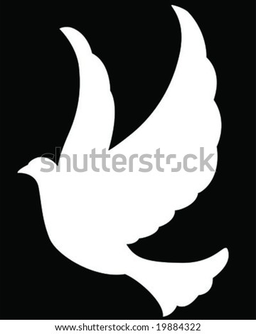 stock vector white dove on black background vector illustration