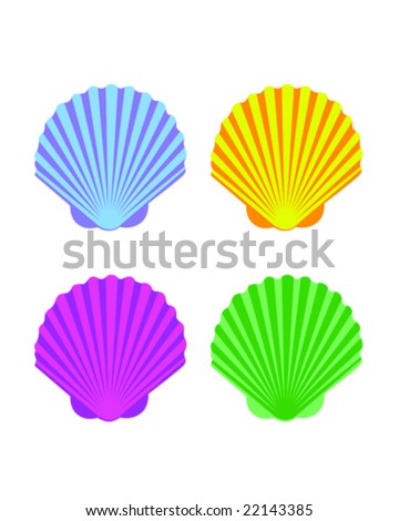 Seashells Vector Illustration - 22143385 : Shutterstock