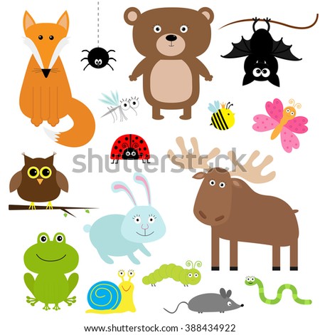 Forest animal insect set. Bear hare fox moose owl bat spider ladybug bee butterfly frog snail caterpillar worm mouse. Kids education cards. White background. Isolated. Flat design Vector illustration