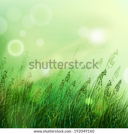 Spring or summer season abstract nature vector background with dawn grass in the back.