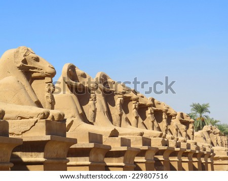 The ruins of the temple of the memorial complex of Karnak. Avenue of sphinxes with rams\' heads.  Luxor. Egypt.