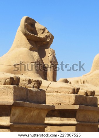 The ruins of the temple of the memorial complex of Karnak. Avenue of sphinxes with rams\' heads.  Luxor. Egypt.