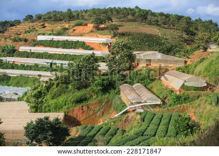 Vegetable fields and Housein highland, Dalat, Vietnam. Da lat is one of the best tourism city in Vietnam. Dalat city is Vietnam\'s largest vegetable and flowers growing areas.