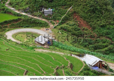Rice Terraces, South East Asia/ Sapa Vietnam  Rice fields prepare the harvest at Northwest Vietnam