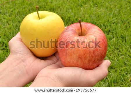 Two apples in hands