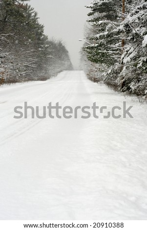 A snow filled road in Northern Ontario.