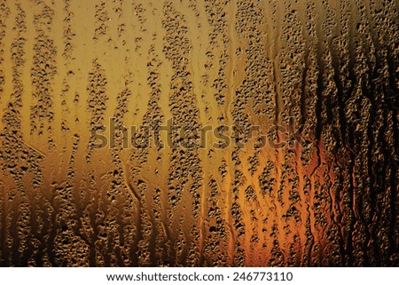 Water droplets on a window pane at dawn.
