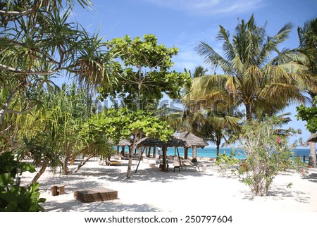 A luxurious beach resort in Zanzibar, Tanzania, Africa.