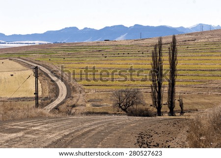 A dirt road winds through a rural farming community in South Africa.