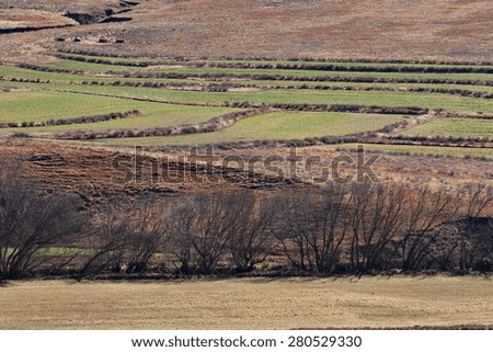 Farm fields in rural South Africa.