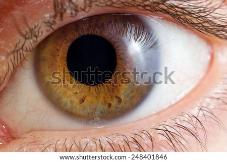 Single eye close up