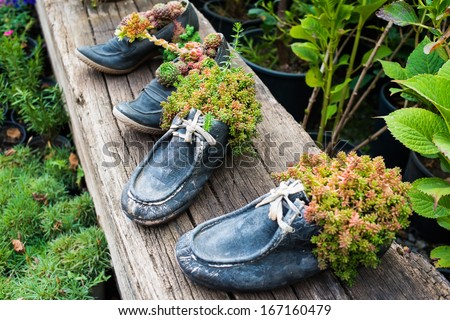 Old boots used as flower pots
