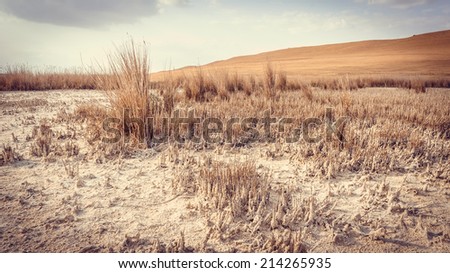 Dry lake  with yellow grass in Georgia, Caucasus. Toned picture